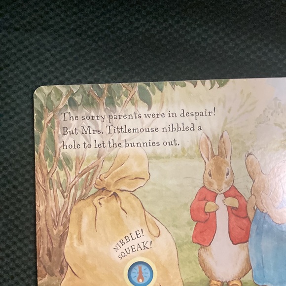 “Peter rabbit and the Flopsy bunnies “ kids sound board book - Picture 9 of 14